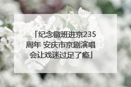 纪念徽班进京235周年 安庆市京剧演唱会让戏迷过足了瘾