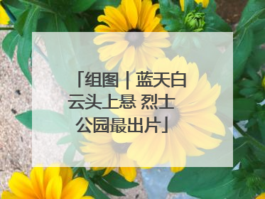组图｜蓝天白云头上悬 烈士公园最出片