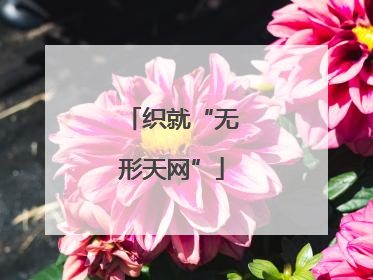 织就“无形天网”
