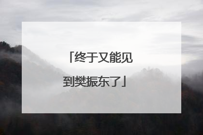 终于又能见到樊振东了