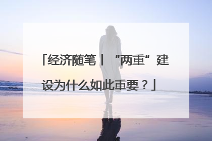 经济随笔丨“两重”建设为什么如此重要？