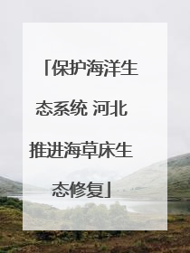 保护海洋生态系统 河北推进海草床生态修复