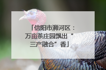信阳市浉河区：万亩茶庄园飘出“三产融合”香