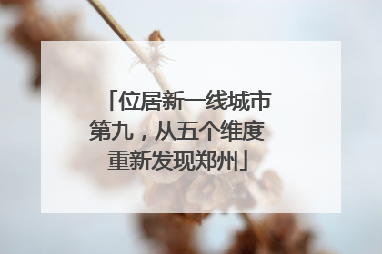 位居新一线城市第九，从五个维度重新发现郑州