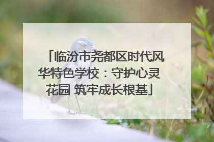 临汾市尧都区时代风华特色学校：守护心灵花园 筑牢成长根基