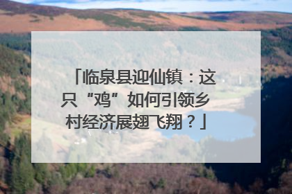 临泉县迎仙镇：这只“鸡”如何引领乡村经济展翅飞翔？