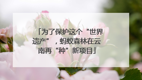 为了保护这个“世界遗产”，蚂蚁森林在云南再“种”新项目