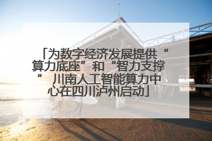 为数字经济发展提供“算力底座”和“智力支撑” 川南人工智能算力中心在四川泸州启动