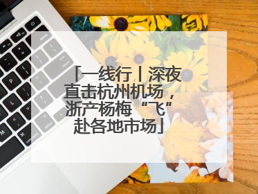 一线行丨深夜直击杭州机场，浙产杨梅“飞”赴各地市场