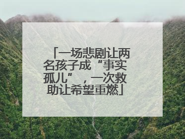 一场悲剧让两名孩子成“事实孤儿”，一次救助让希望重燃