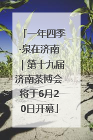 一年四季·泉在济南｜第十九届济南茶博会将于6月20日开幕