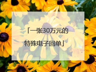 一张30万元的特殊电子回单
