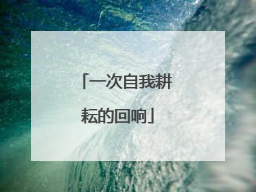 一次自我耕耘的回响
