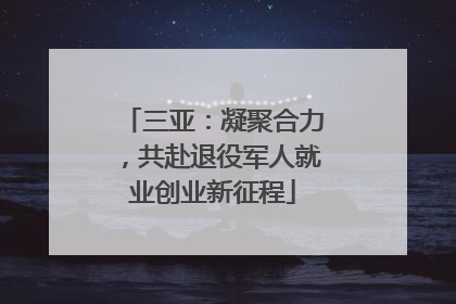 三亚：凝聚合力，共赴退役军人就业创业新征程