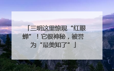 三明这里惊现“红眼蝉”！它很神秘，被誉为“最美知了”