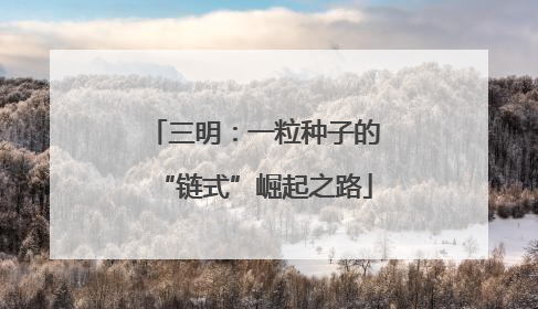 三明：一粒种子的“链式”崛起之路
