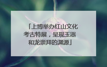 上博举办红山文化考古特展，呈现玉器和龙崇拜的渊源