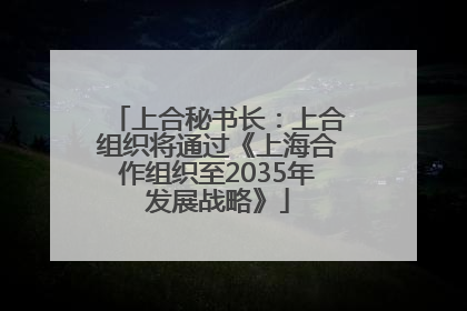 上合秘书长：上合组织将通过《上海合作组织至2035年发展战略》