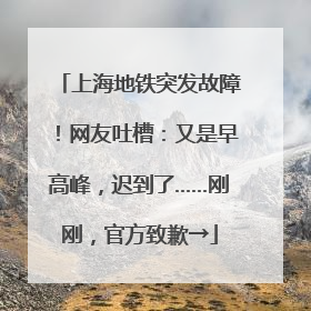 上海地铁突发故障！网友吐槽：又是早高峰，迟到了……刚刚，官方致歉→
