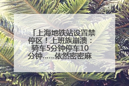 上海地铁站设置禁停区！上班族崩溃：骑车5分钟停车10分钟……依然密密麻麻无从下脚？