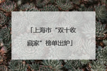 上海市“双十收藏家”榜单出炉