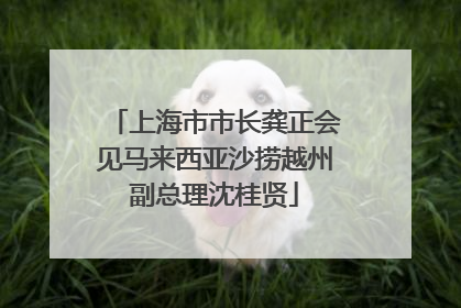 上海市市长龚正会见马来西亚沙捞越州副总理沈桂贤