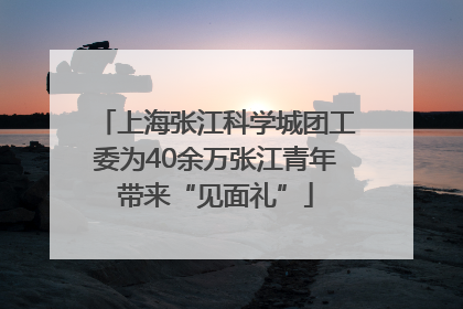 上海张江科学城团工委为40余万张江青年带来“见面礼”