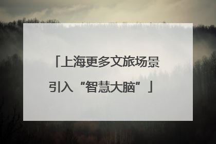 上海更多文旅场景引入“智慧大脑”