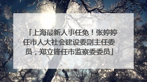 上海最新人事任免！张婷婷任市人大社会建设委副主任委员，郑立锋任市监察委委员