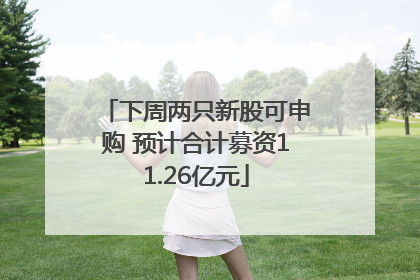 下周两只新股可申购 预计合计募资11.26亿元