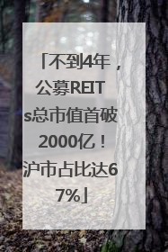 不到4年，公募REITs总市值首破2000亿！沪市占比达67%