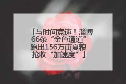 与时间竞速！淄博66条“金色通道”跑出156万亩夏粮抢收“加速度”