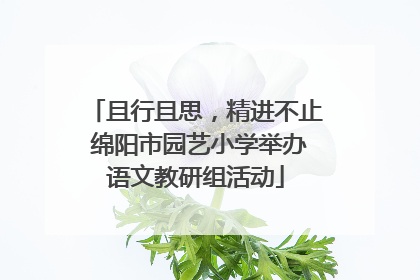 且行且思，精进不止 绵阳市园艺小学举办语文教研组活动