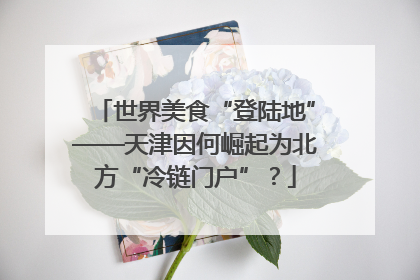 世界美食“登陆地”——天津因何崛起为北方“冷链门户”？