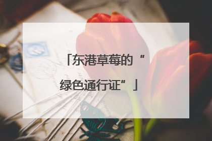 东港草莓的“绿色通行证”