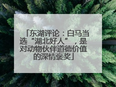 东湖评论：白马当选“湖北好人”，是对动物伙伴道德价值的深情褒奖