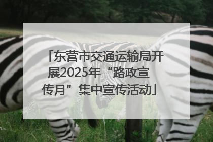 东营市交通运输局开展2025年“路政宣传月”集中宣传活动