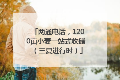 两通电话，1200亩小麦一站式收储（三夏进行时）