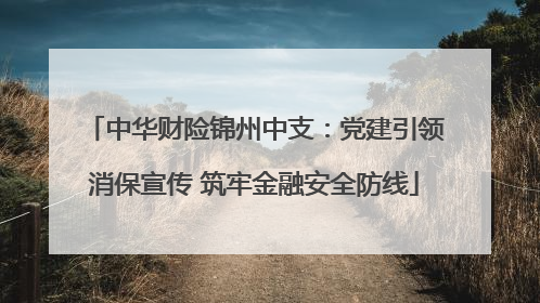 中华财险锦州中支：党建引领消保宣传 筑牢金融安全防线