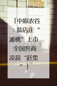 中原农谷：盐店庄“滩桃”上市 全国客商凌晨“赶集”
