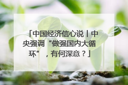 中国经济信心说丨中央强调“做强国内大循环”，有何深意？