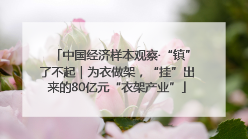 中国经济样本观察·“镇”了不起｜为衣做架，“挂”出来的80亿元“衣架产业”