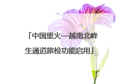 中国里火—越南北峰生通道旅检功能启用