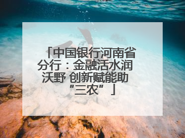 中国银行河南省分行：金融活水润沃野 创新赋能助“三农”