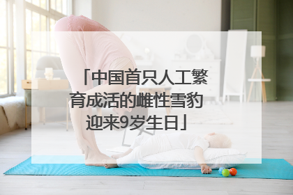 中国首只人工繁育成活的雌性雪豹迎来9岁生日