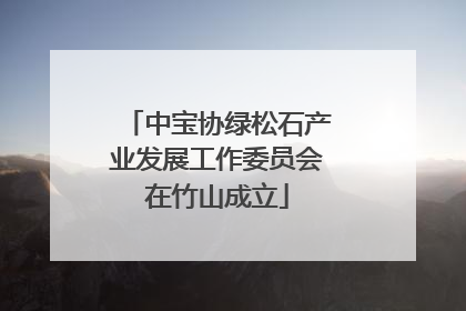 中宝协绿松石产业发展工作委员会在竹山成立