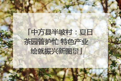 中方县半坡村：夏日茶园管护忙 特色产业绘就振兴新图景