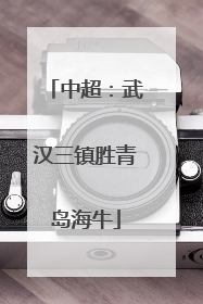 中超：武汉三镇胜青岛海牛
