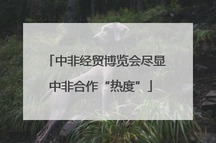 中非经贸博览会尽显中非合作“热度”