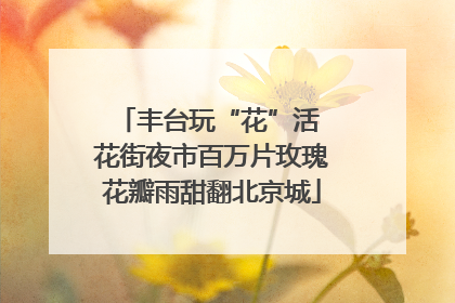 丰台玩“花”活 花街夜市百万片玫瑰花瓣雨甜翻北京城